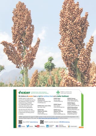 Strategic Framework to Foster Grain Legume and Dryland Cereal Seed Systems Innovations