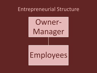 Entrepreneurial Structure
Owner-
Manager
Employees
 