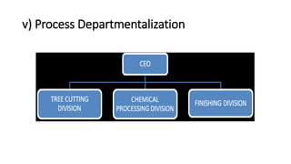 v) Process Departmentalization
 