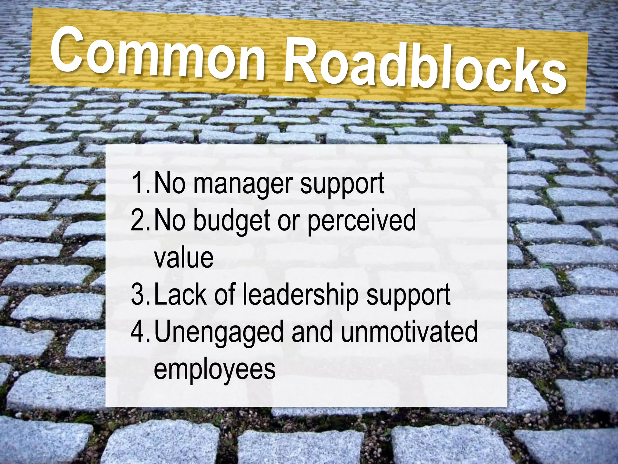 Strategic Implementation of an Employee Development Program | PDF