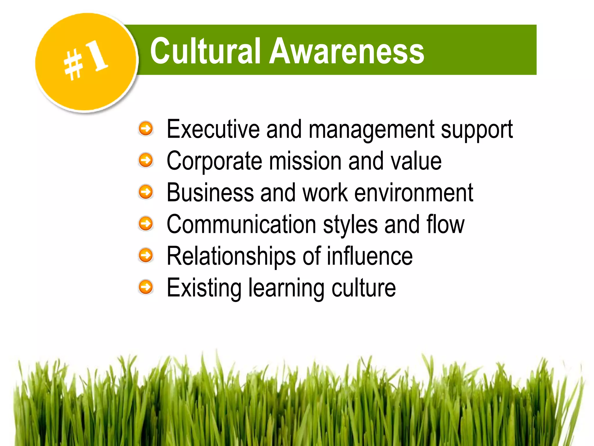 Strategic Implementation of an Employee Development Program | PDF