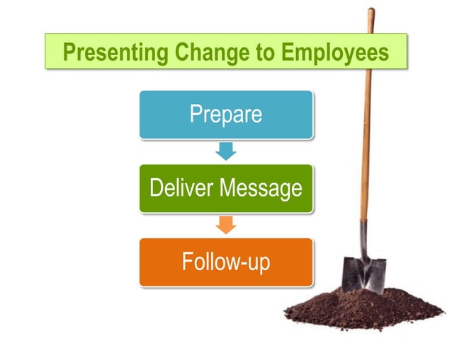 Strategic Implementation of an Employee Development Program | PDF