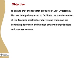 Strategic implementation plan for enabling innovations for Tanzania value chain transformation and scaling 2015