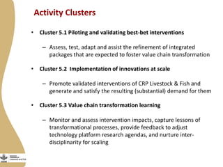 Strategic implementation plan for enabling innovations for Tanzania value chain transformation and scaling 2015