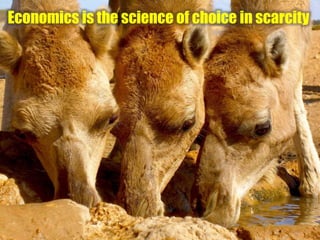 Economics is the science of choice in scarcity
 