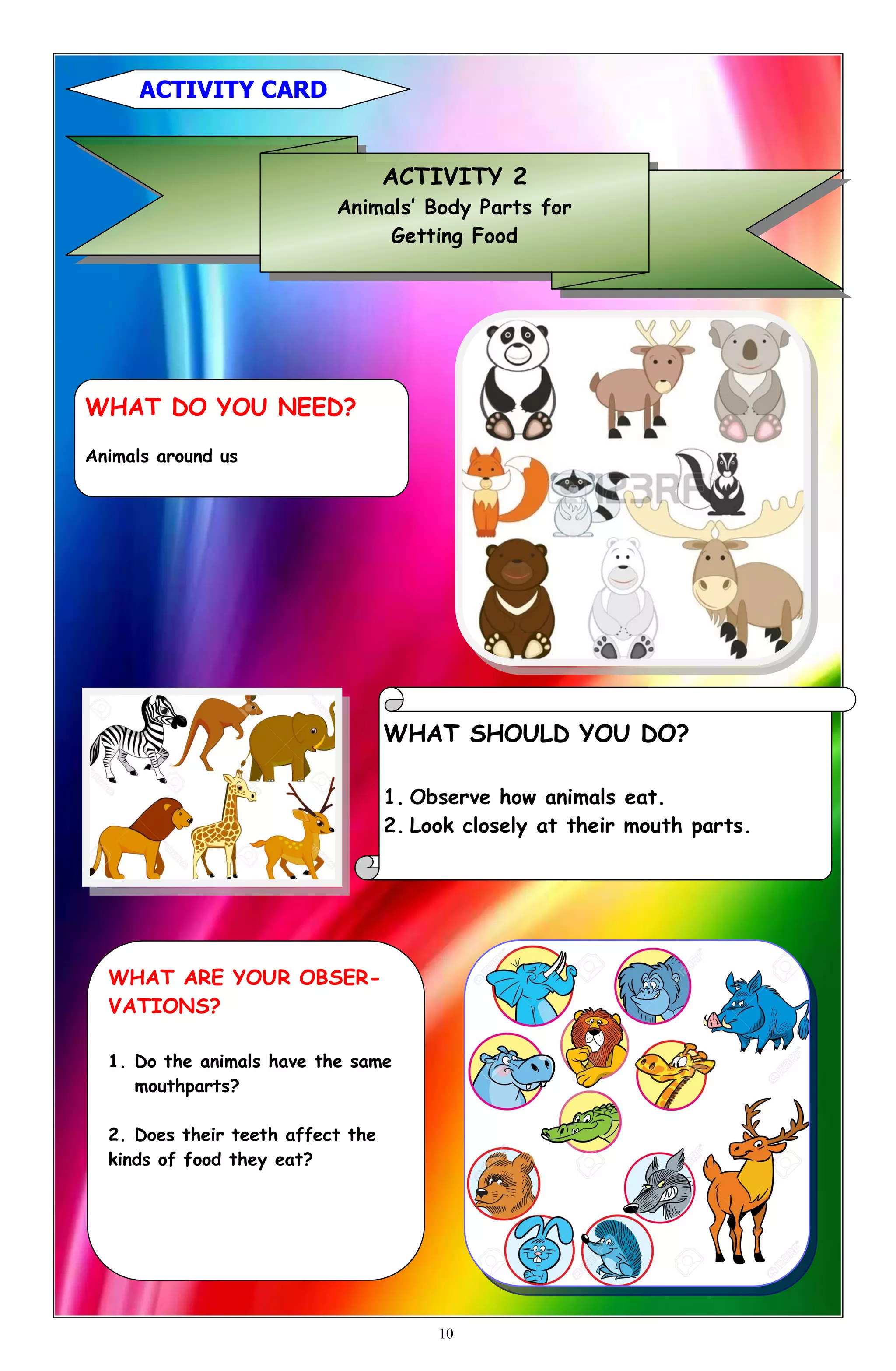 WHAT DO YOU NEED?
Animals around us
WHAT SHOULD YOU DO?
1. Observe how animals eat.
2. Look closely at their mouth parts.
WHAT ARE YOUR OBSER-
VATIONS?
1. Do the animals have the same
mouthparts?
2. Does their teeth affect the
kinds of food they eat?
ACTIVITY 2
Animals’ Body Parts for
Getting Food
ACTIVITY CARD
10
 