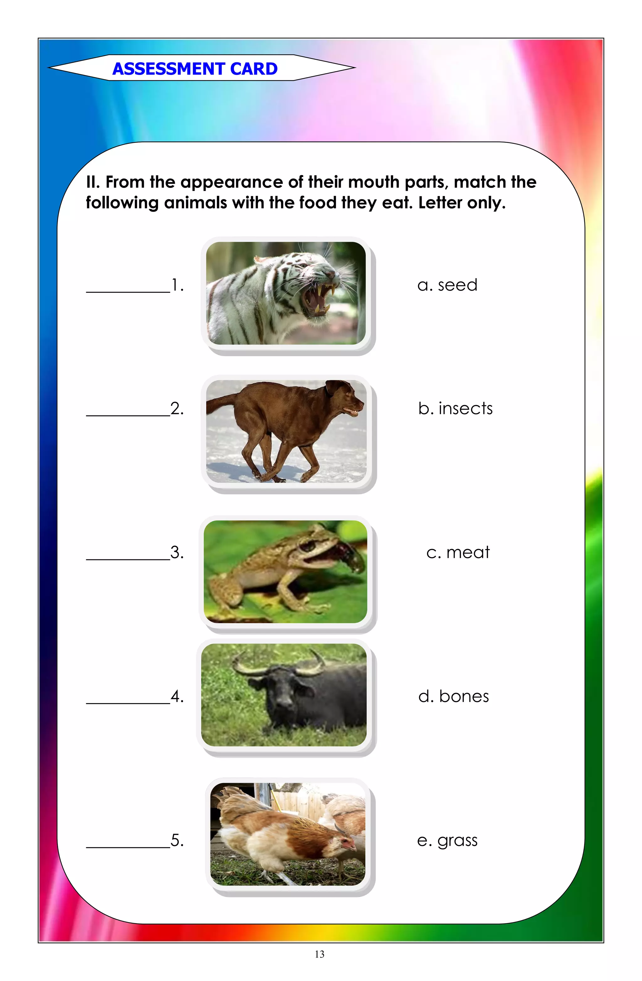 II. From the appearance of their mouth parts, match the
following animals with the food they eat. Letter only.
__________1. a. seed
__________2. b. insects
__________3. c. meat
__________4. d. bones
__________5. e. grass
ASSESSMENT CARD
13
 