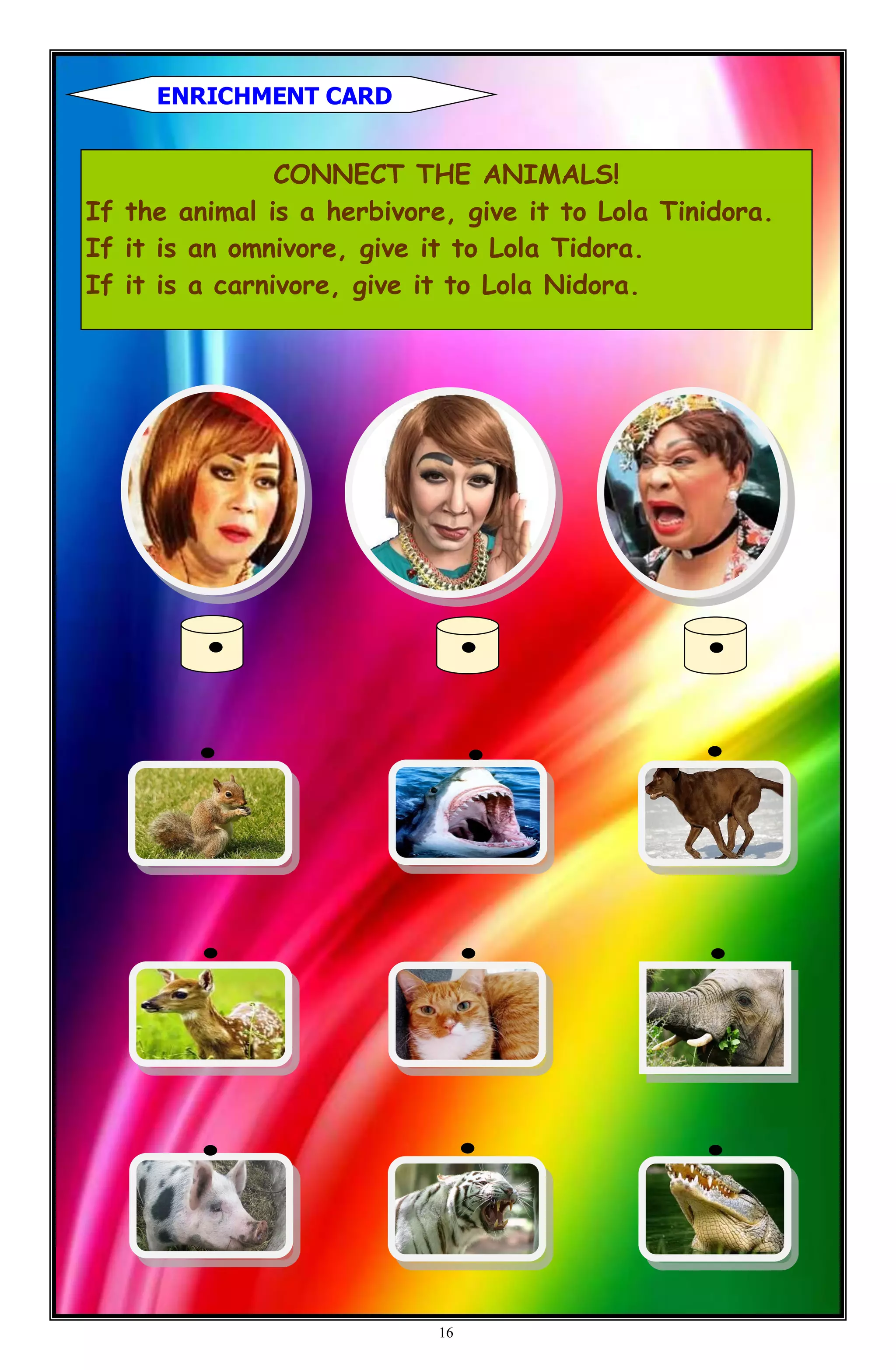 ENRICHMENT CARD
CONNECT THE ANIMALS!
If the animal is a herbivore, give it to Lola Tinidora.
If it is an omnivore, give it to Lola Tidora.
If it is a carnivore, give it to Lola Nidora.
16
 