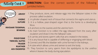 They produce, store, and release eggs into the fallopian tubes in the
process called ovulation.
A cylinder-shaped neck of tissue that connects the vagina and uterus.
It is a hollow, pear-shaped organ that is the home to a developing
fetus.
It anchors to the ovaries and the uterine horn.
Its main function is to collect the egg released from the ovary after
ovulation and draw it into the fallopian tube.
It carries and stores sperm cells that are created in the testes.
It is any tissue that is capable of stiffening or engorging with blood.
Connect and fills the bladder with urine formed in the kidneys.
A tube which allows urine and semen to exit the body.
They function to carry sperm from the epididymis to the urethra
where it leaves the body during ejaculation.
1.
2.
3.
4.
5.
6.
7.
8.
9.
10.
Activity Card 3
Activity Card 3
Activity Card 3 DIRECTION: Give the correct word/s of the following
jumbled letters.
ARVOY


VXERIC
SUTURE


INVOAAR TEGMINAL
BFARMIE




PIDIDYSIME
TIERCEEL SUITES
TRUEER
RUATHER
ASV ENSERFED
You are doing great!
Use your vocabulary
words.
 