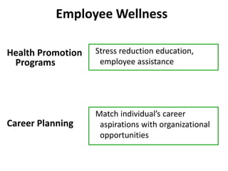 Employee Wellness
Health Promotion
Programs
Career Planning
Stress reduction education,
employee assistance
Match individual’s career
aspirations with organizational
opportunities
 