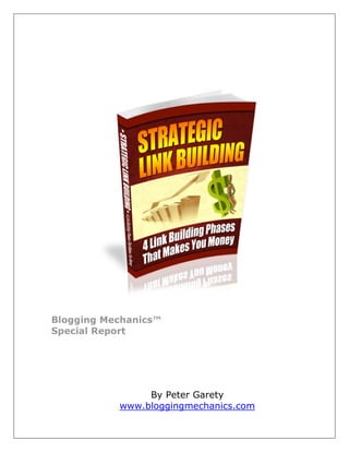 Blogging Mechanics™
Special Report




                By Peter Garety
           www.bloggingmechanics.com
 