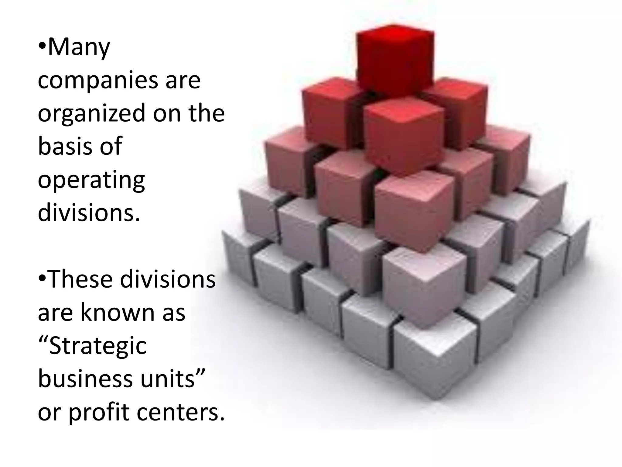 Many companies are organized on the basis of operating divisions.
