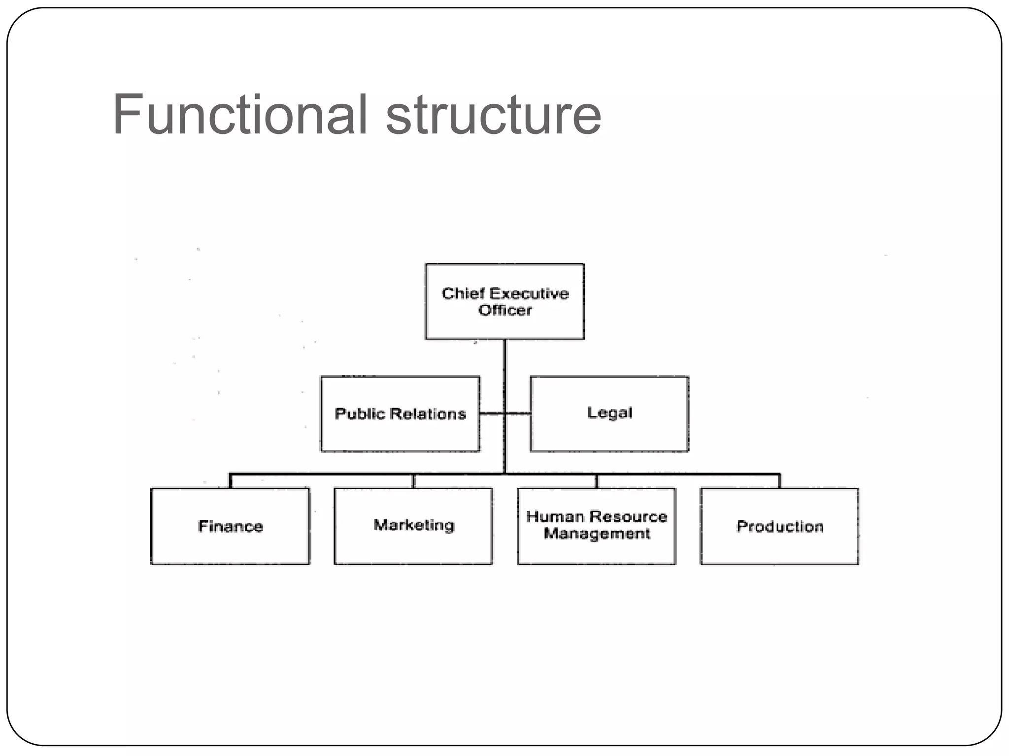 Functional structure
 