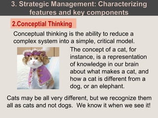 Conceptual thinking is the ability to reduce a
complex system into a simple, critical model.
2.Conceptial Thinking
The concept of a cat, for
instance, is a representation
of knowledge in our brain
about what makes a cat, and
how a cat is different from a
dog, or an elephant.
Cats may be all very different, but we recognize them
all as cats and not dogs. We know it when we see it!
 