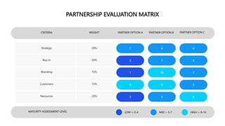 Strategic Partnership.pptx