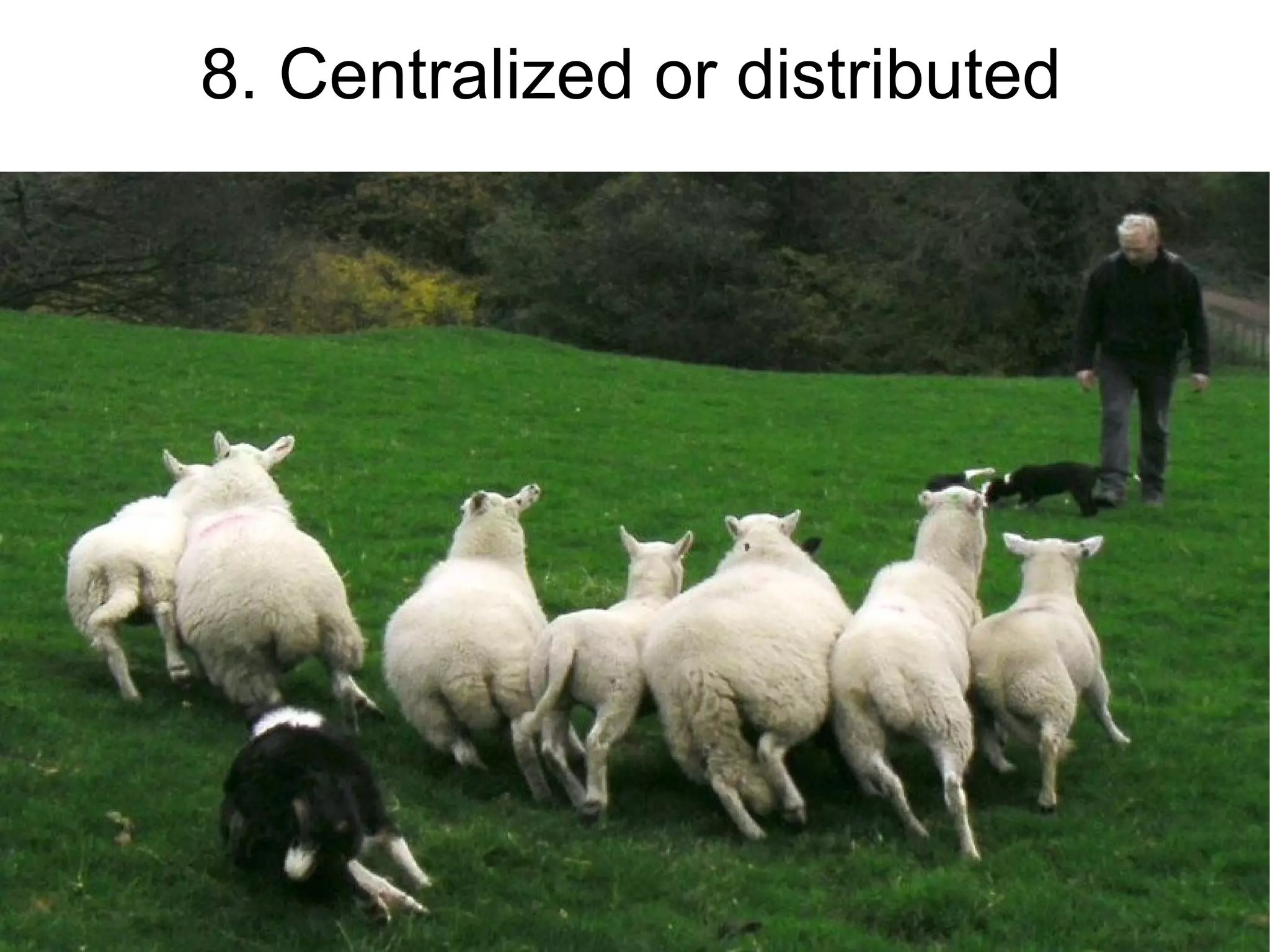 8. Centralized or distributed
 