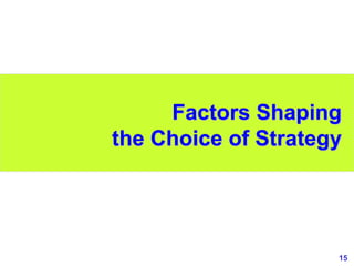 15
www.studyMarketing.org
Factors Shaping
the Choice of Strategy
 