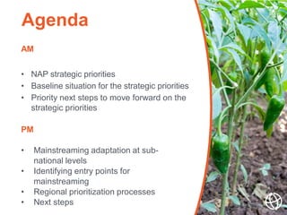 AM
• NAP strategic priorities
• Baseline situation for the strategic priorities
• Priority next steps to move forward on t...