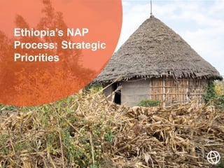 Ethiopia’s NAP
Process: Strategic
Priorities
 