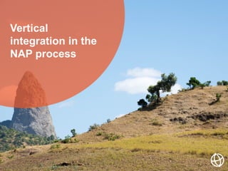 Vertical
integration in the
NAP process
 