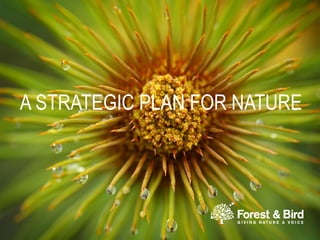 DRAFT Forest & Bird Strategic
Plan 2015
A STRATEGIC PLAN FOR NATURE
 