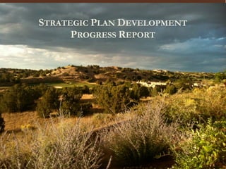 STRATEGIC PLAN DEVELOPMENT
      PROGRESS REPORT
 