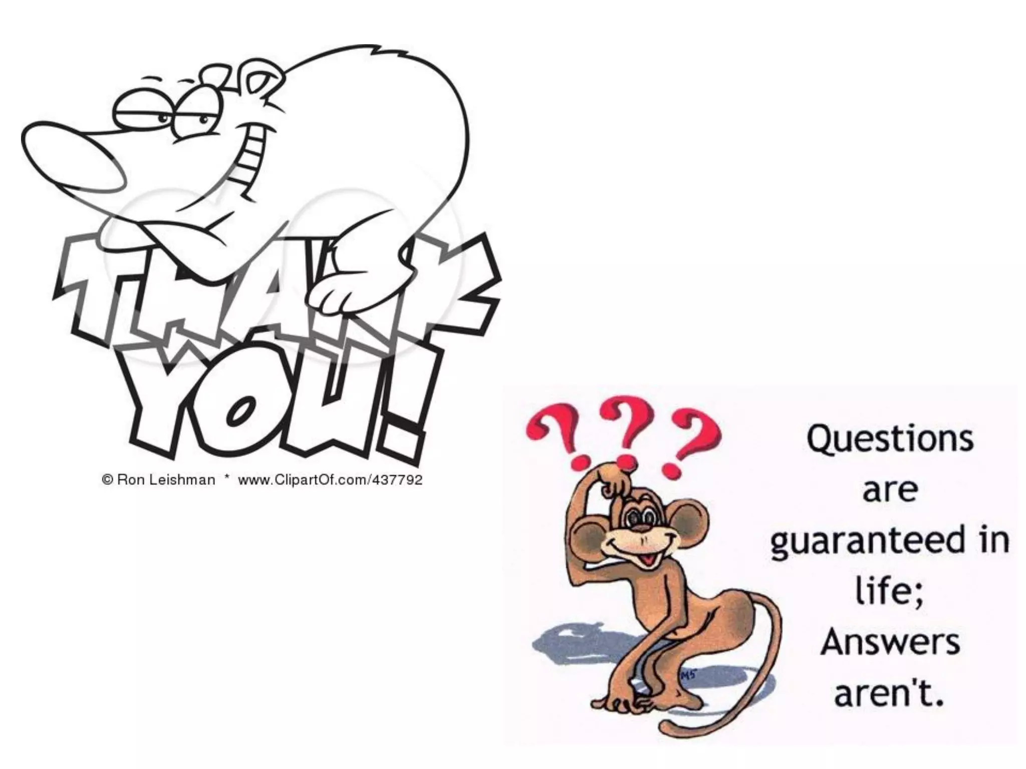 Strategic program management