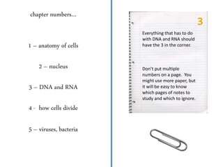 chapter numbers…
1 – anatomy of cells
2 – nucleus
3 – DNA and RNA
4 - how cells divide
5 – viruses, bacteria
Everything that has to do
with DNA and RNA should
have the 3 in the corner.
Don’t put multiple
numbers on a page. You
might use more paper, but
it will be easy to know
which pages of notes to
study and which to ignore.
 