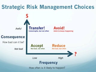 Strategic Risk Management Choices