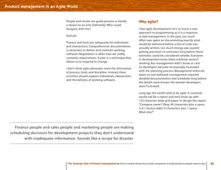 Strategic Role - Product Management