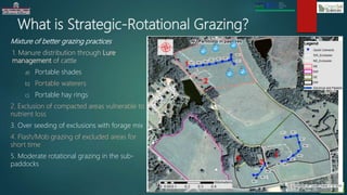 Rotational Grazing Example Strategic rotational grazing | PPTX