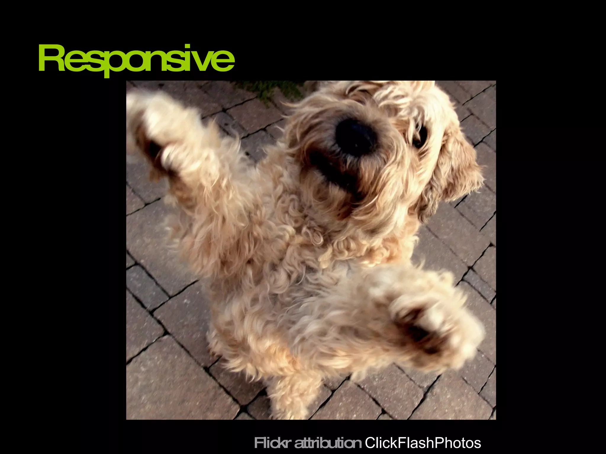 Responsive Flickr attribution  ClickFlashPhotos 