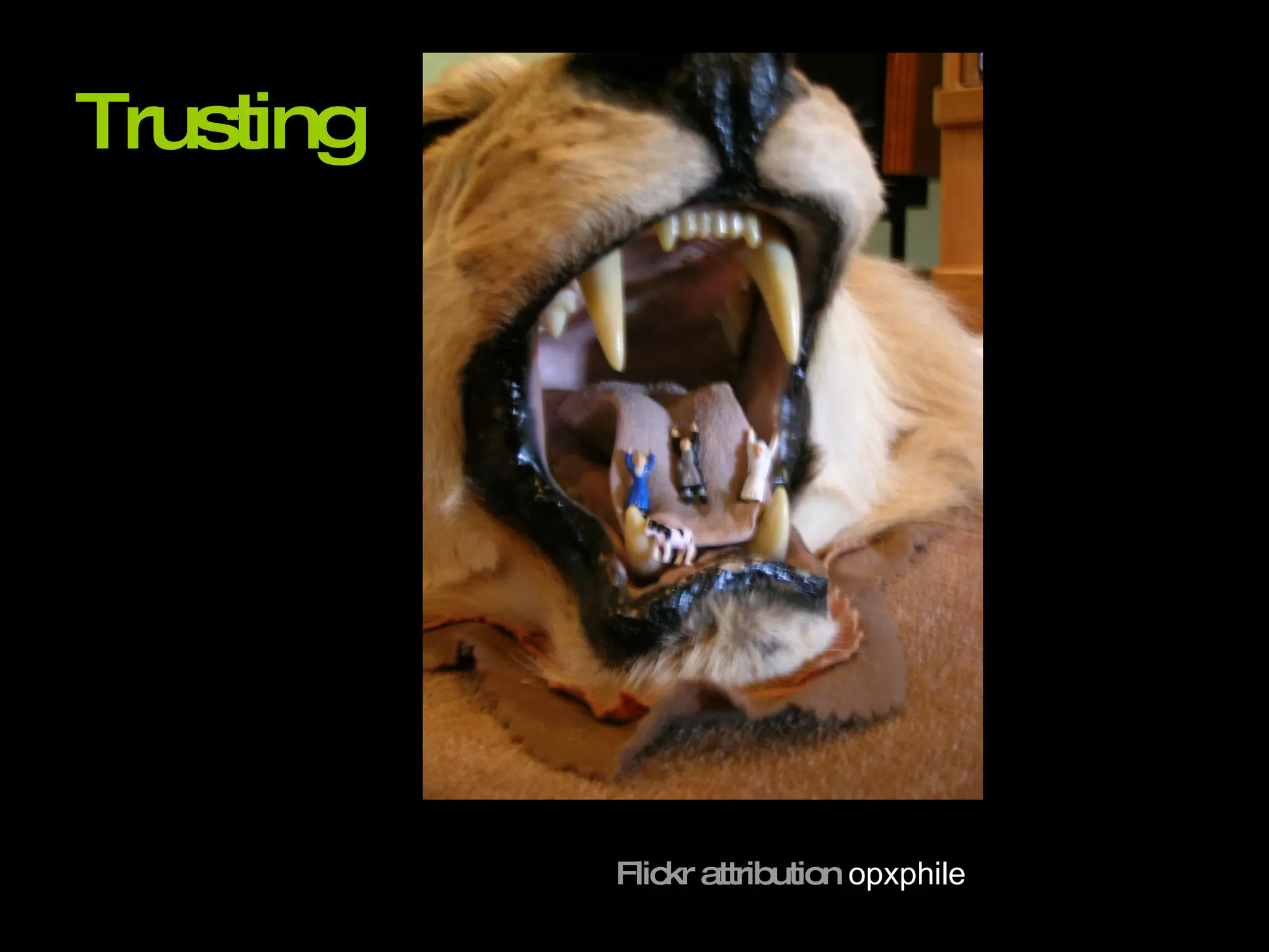 Trusting Flickr attribution   opxphile 