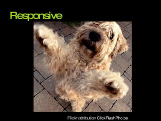 Responsive Flickr attribution  ClickFlashPhotos 