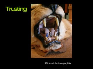 Trusting Flickr attribution   opxphile 