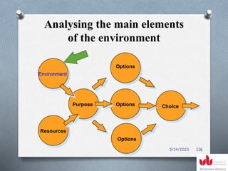 Analysing the main elements
of the environment
Environment
Resources
Purpose
Options
Options Choice
Options
5/14/2023 116
 