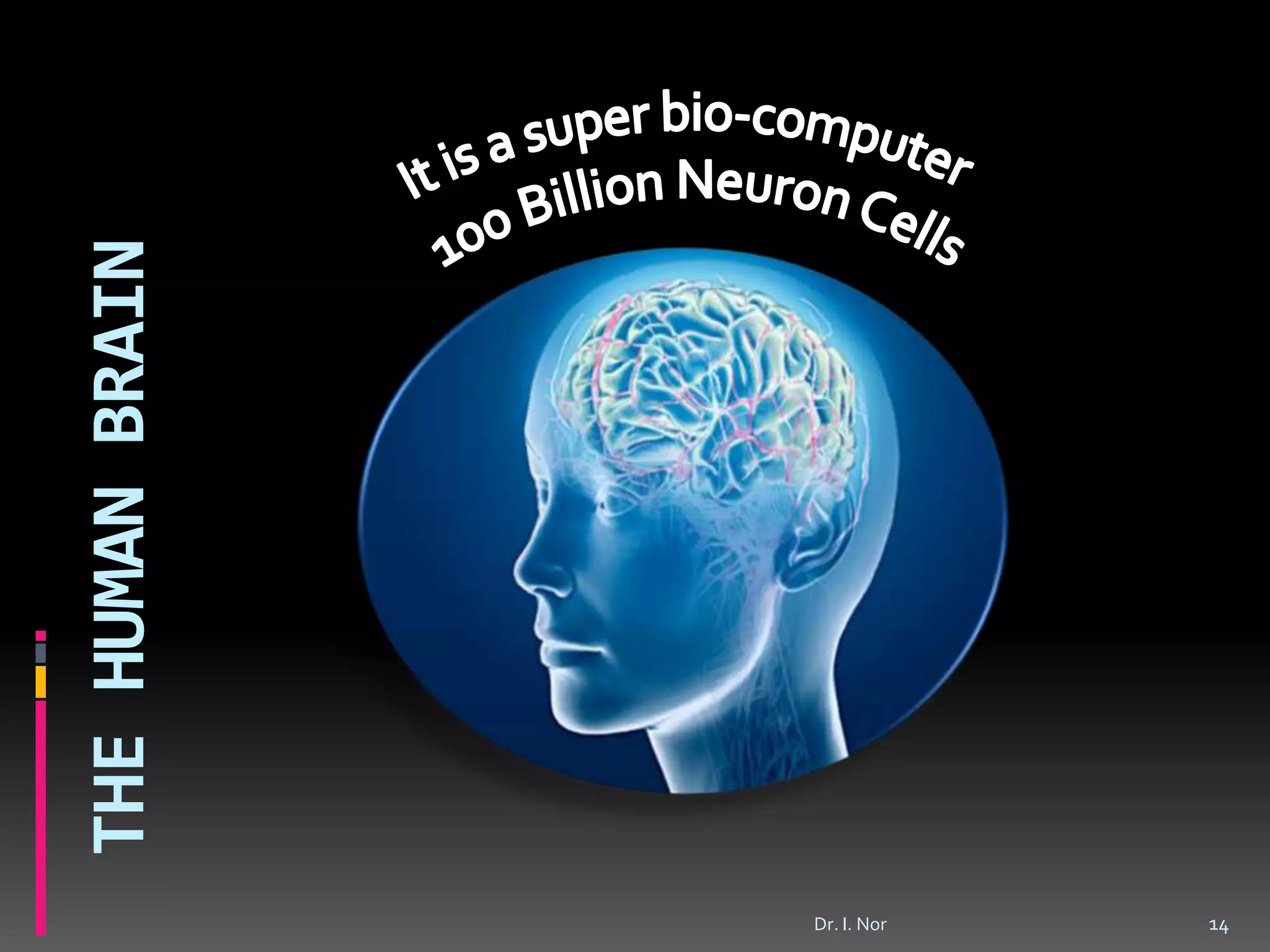 THEHUMANBRAIN
14Dr. I. Nor
 