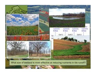 What size of wetland is most effective at reducing nutrients in tile runoff?
Inlet
Cell 1 Cell 2 Cell 3
Tile
3% 3% 3%
6%c
9%
Monitor
nutrients
& flow
Monitor
nutrients
& flow
Monitor
nutrients
& flow
Monitor
nutrients
& flow
 