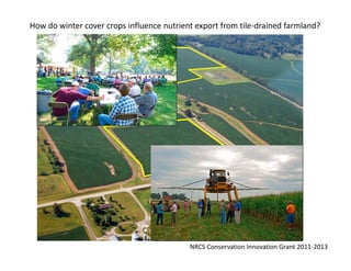 How do winter cover crops influence nutrient export from tile‐drained farmland?
NRCS Conservation Innovation Grant 2011‐2013
 