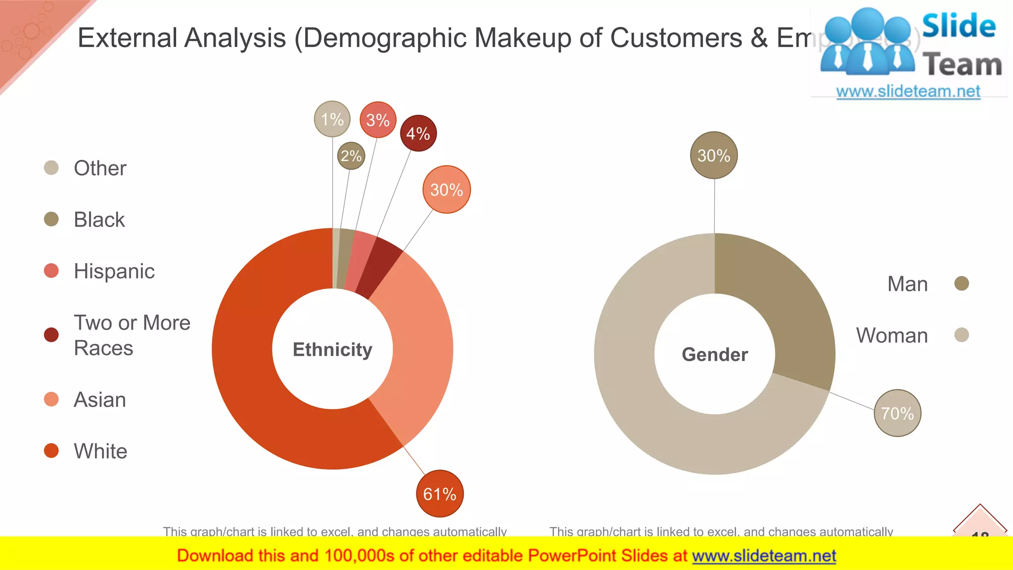 Other
Black
Hispanic
Two or More
Races
Asian
White
1%
2%
3%
4%
30%
61%
Ethnicity
Man
Woman
70%
30%
Gender
18
External Analysis (Demographic Makeup of Customers & Employees)
This graph/chart is linked to excel, and changes automatically
based on data. Just left click on it and select “Edit Data”.
This graph/chart is linked to excel, and changes automatically
based on data. Just left click on it and select “Edit Data”.
 