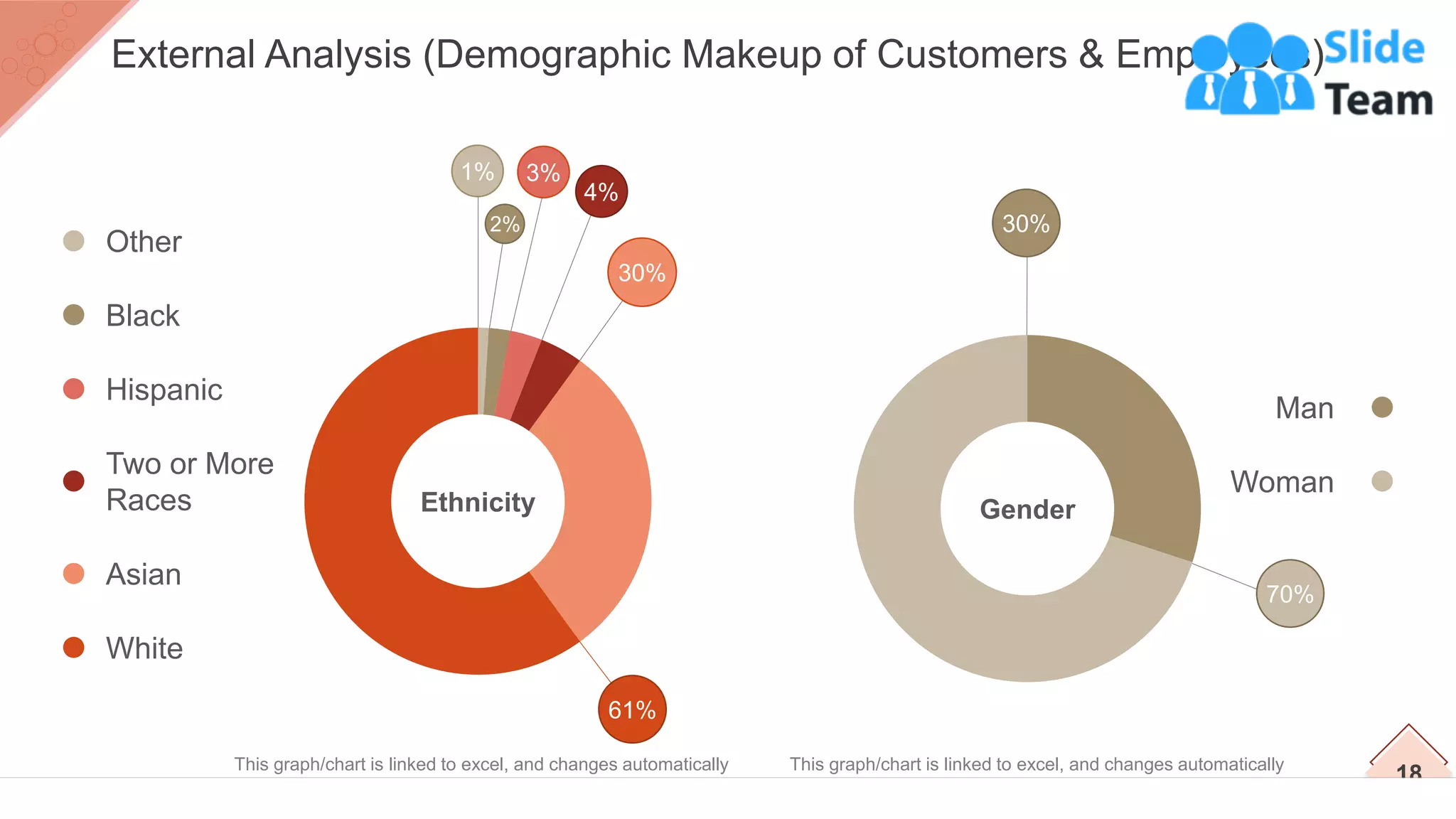 Other
Black
Hispanic
Two or More
Races
Asian
White
1%
2%
3%
4%
30%
61%
Ethnicity
Man
Woman
70%
30%
Gender
18
External Analysis (Demographic Makeup of Customers & Employees)
This graph/chart is linked to excel, and changes automatically
based on data. Just left click on it and select “Edit Data”.
This graph/chart is linked to excel, and changes automatically
based on data. Just left click on it and select “Edit Data”.
 