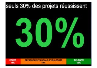 Strategie Et Projets 2008