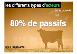 Strategie Et Projets 2008