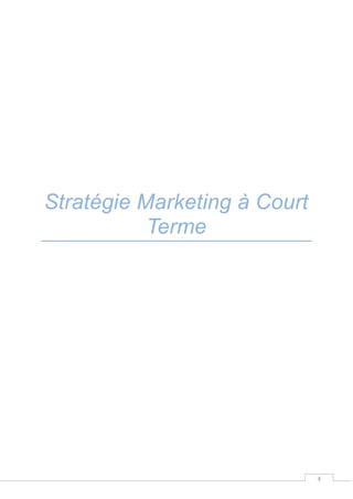 4
Stratégie Marketing à Court
Terme
 