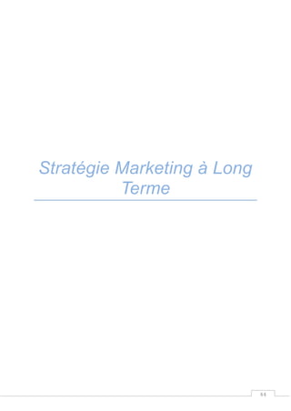 44
Stratégie Marketing à Long
Terme
 