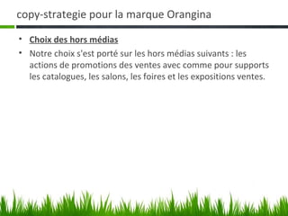 copy-strategie pour la marque Orangina

• Choix des hors médias
• Notre choix s'est porté sur les hors médias suivants : les
  actions de promotions des ventes avec comme pour supports
  les catalogues, les salons, les foires et les expositions ventes.
 