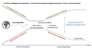 Les choix stratégiques des entreprises : le choix de la transition écologique (économie + social + environnemental)
 