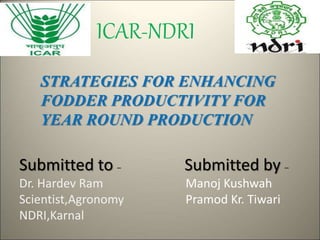 STRATEGIES FOR ENHANCING
FODDER PRODUCTIVITY FOR
YEAR ROUND PRODUCTION
ICAR-NDRI
Submitted to –
Dr. Hardev Ram
Scientist,Agronomy
NDRI,Karnal
Submitted by –
Manoj Kushwah
Pramod Kr. Tiwari
 