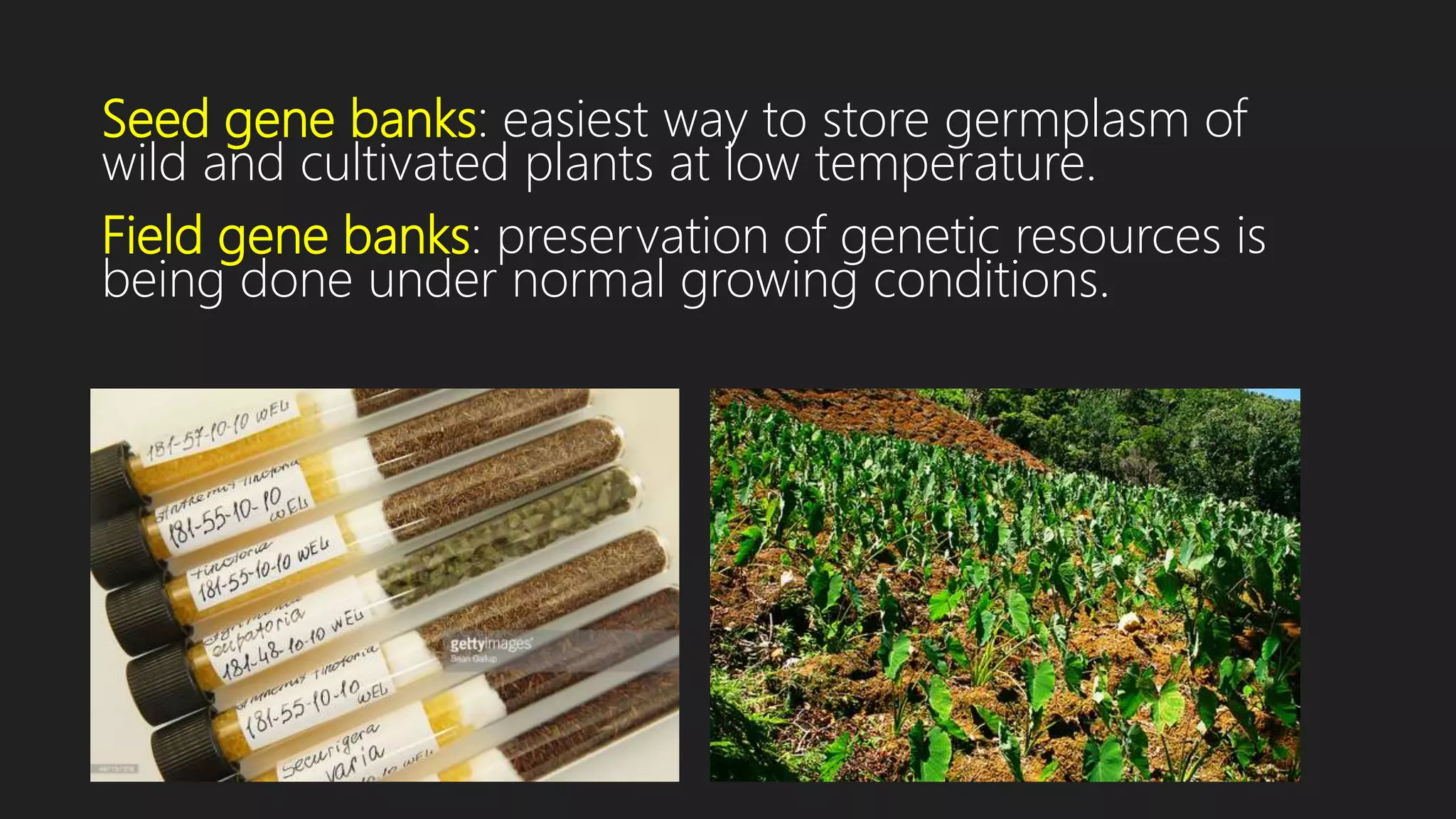 Strategies for biodiversity conservation | PPTX
