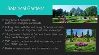 Botanical Gardens
 They benefit pollinators like
butterflies, honeybees and birds.
 Linking plants with the well being of people and also
helping conserve indigenous and local knowledge.
 33 government Botanical Gardens (Universities have
their own botanic gardens).
 1500 botanic gardens world wide preserving more
than 80,000 species.
 Herbarium-plant specimens for research studies.
 